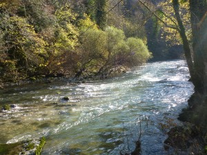 Le soleil est le bienvenu après les gelées matinales qui blanchissent les abords de la rivière tous les matins.