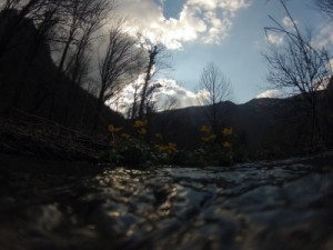 DCIM103GOPRO