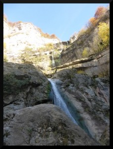 P1050269