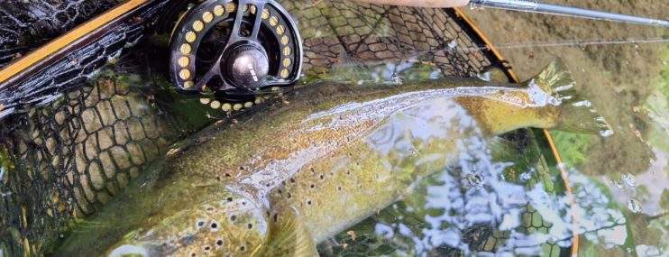 Infos ouverture Albarine et plan d&rsquo;eau