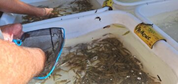 Points Pollutions, relativisons !