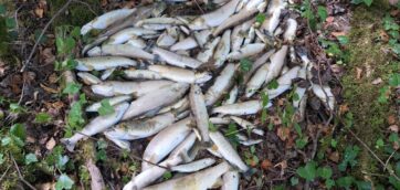 Points Pollutions, relativisons !