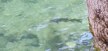 Points Pollutions, relativisons !